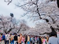 油断しちゃいけない春の紫外線♡