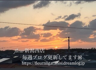 新潟西店 画像3